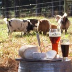 Craft Beer and Artisan Cheese