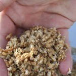 Regulations on Spent Grain Could Have Big Implications for Brewers
