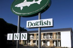 The Dog Fish Inn opened in 2014 with 16 guest rooms. 