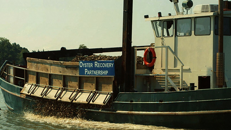 Oyster Recovery Partnership