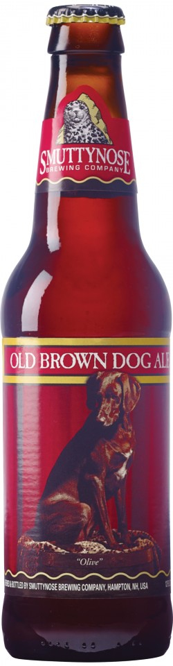 old-brown-dog