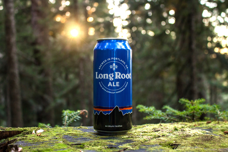long-root-ale